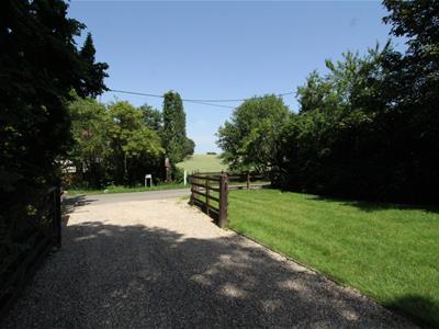 Picture 44